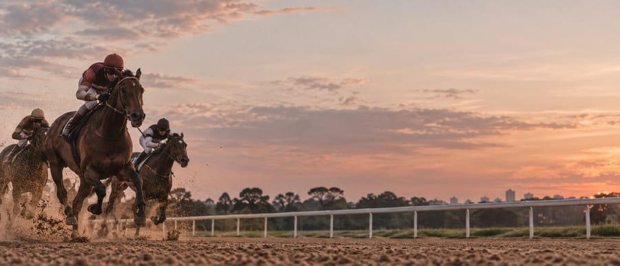Cavalos de corrida em galope na pista de areia ao entardecer, levantando poeira